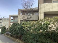 トラストガーデン桜新町