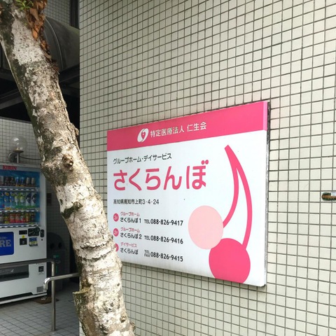さくらんぼ 看板