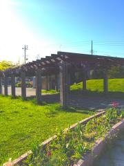 はまだて公園