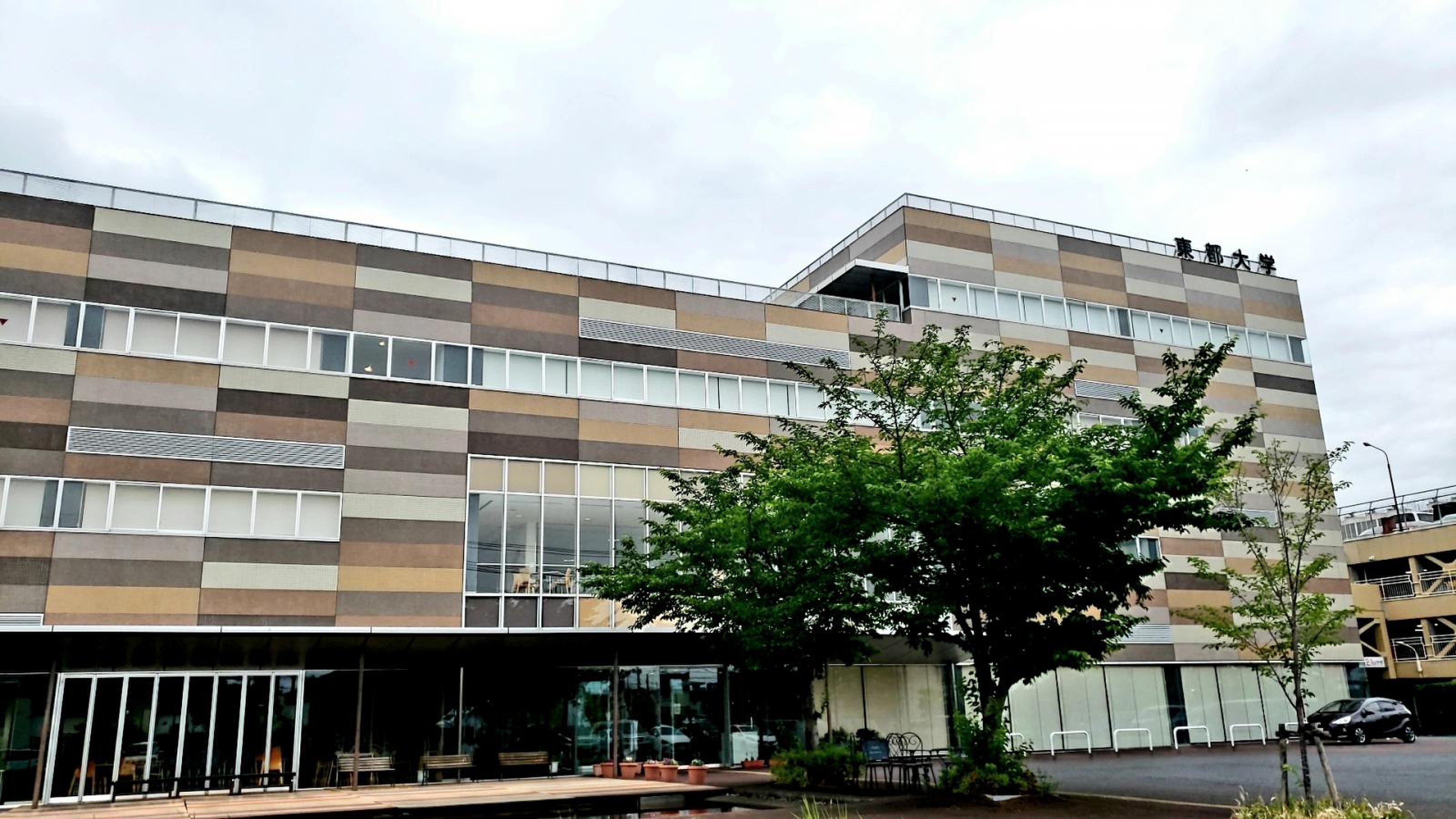 活動歴および当時の関連ビジュアル記録