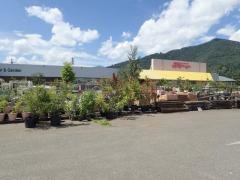 綿半スーパーセンター富士河口湖店