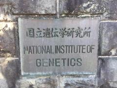 国立遺伝学研究所図書室