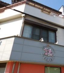 しば動物病院