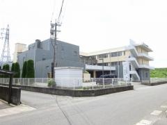のぞみ