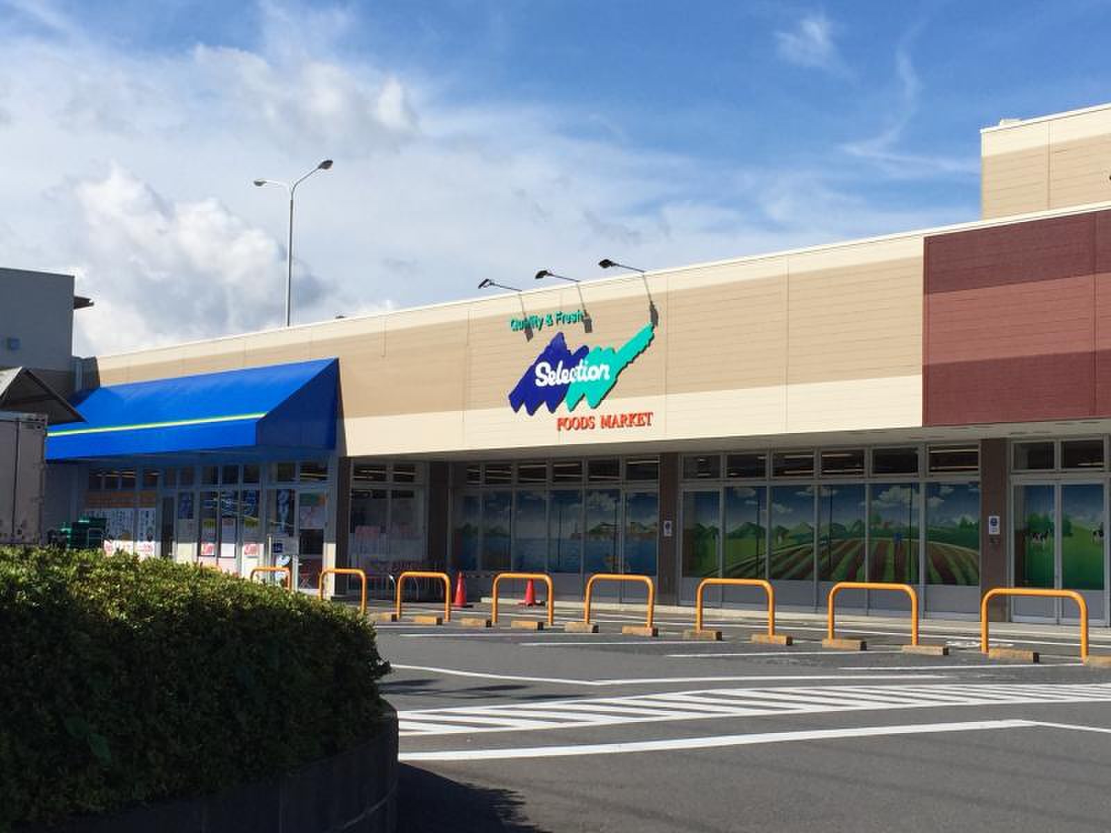 セレクション 青葉台
