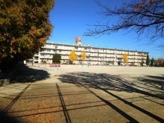 千間台小学校