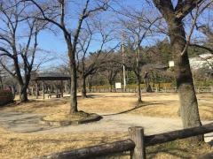 中央公園