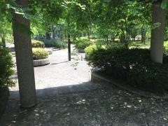 赤塚光が丘公園