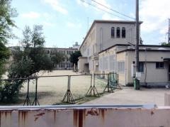淳風小学校