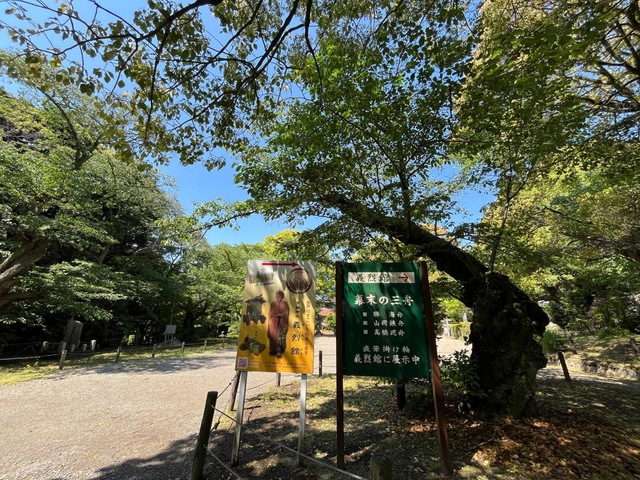 投稿写真1