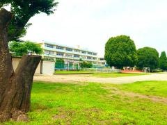 坂戸市立南小学校
