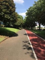 川越水上公園