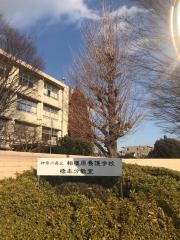 神奈川県立橋本高等学校