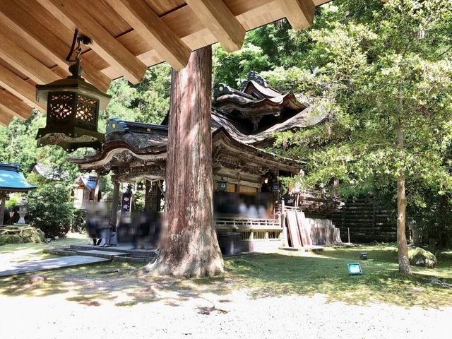 投稿写真2