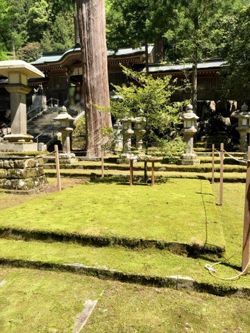 投稿写真1