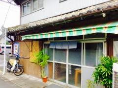 杉の木