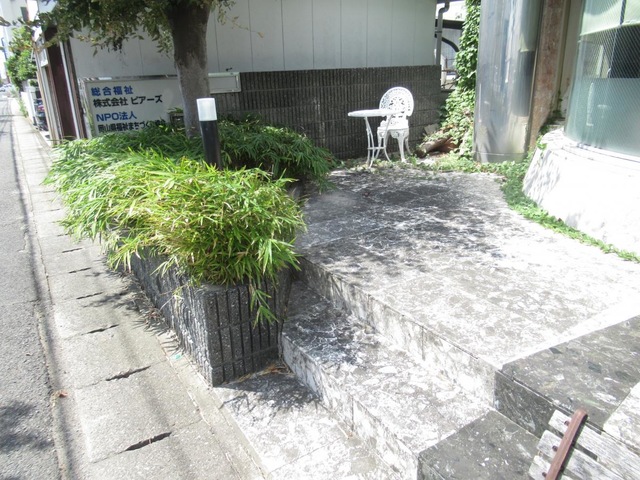 シルバーピアーズ愛