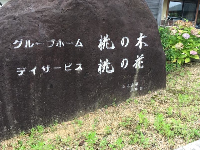 桃の木