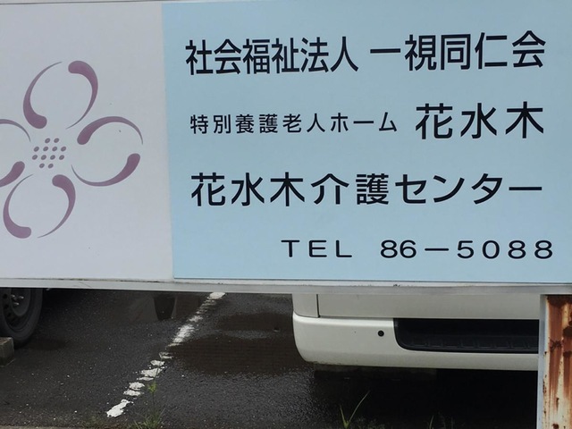 花水木
