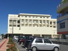 医療法人　海秀会　うえむら病院