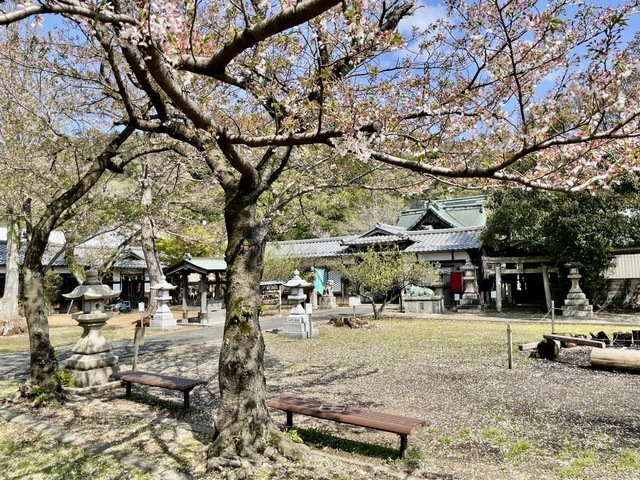 投稿写真6