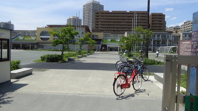 学校敷地内