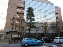 東京都立向丘高等学校
