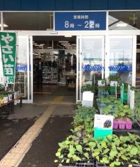 スーパーセンターＰＬＡＮＴ－3川北店