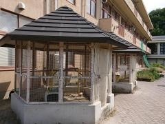 旭森小学校