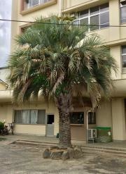 恵我之荘小学校
