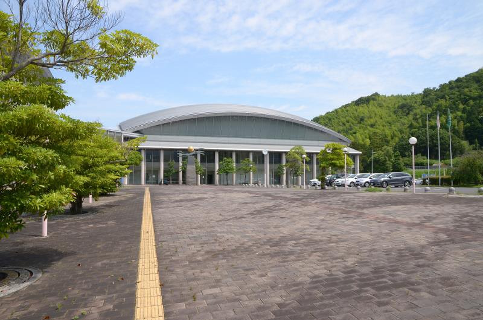 河南 総合 体育館