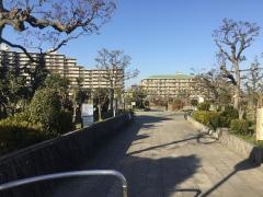 登美丘北公園