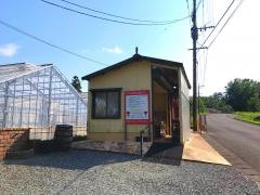 観光農園トマトファーム