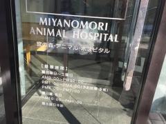 宮の森アニマルホスピタル