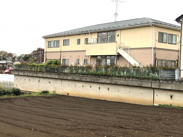 ゆうゆ