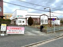 花みずき