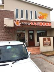 大野中央・もみじ動物病院