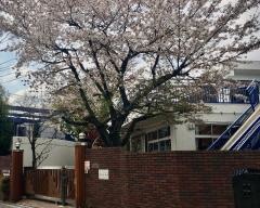 愛徳幼稚園