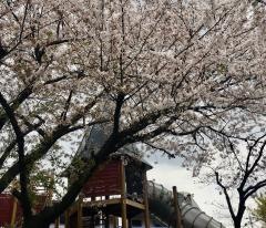 愛徳幼稚園