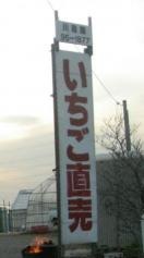 川島いちご園