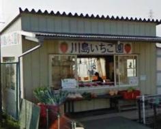 川島いちご園