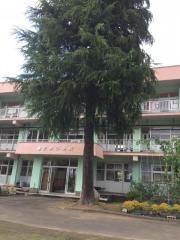 薮神小学校