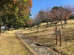 平地公園