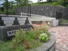 桂木小学校