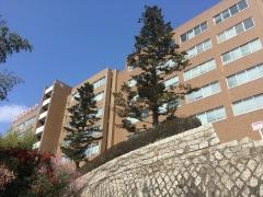 川崎医療短期大学