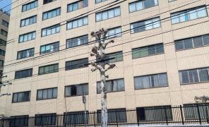 札幌医科大学附属病院