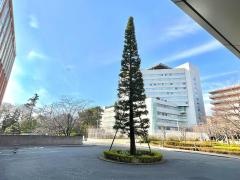日本赤十字社医療センター