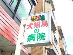 水上犬猫鳥の病院