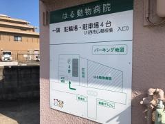 はる動物病院