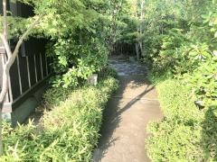 豚八